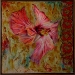 Hibiscus #2