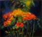 Poppies and Pines