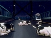 Ambassador Bridge, 1988