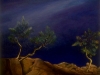 Indoor Rock Garden,